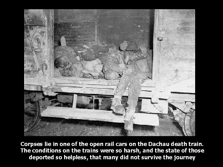 Corpses lie in one of the open rail cars on the Dachau death train.