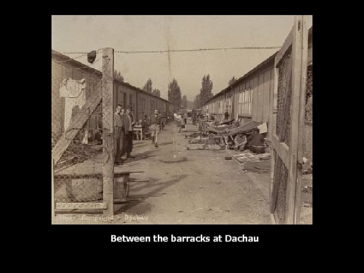 Between the barracks at Dachau 