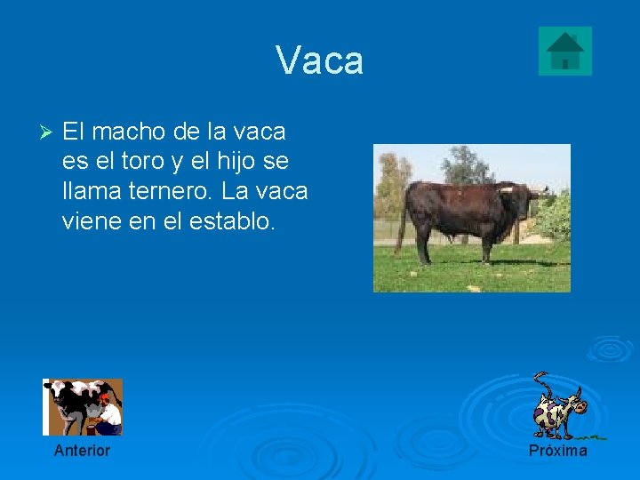 Vaca Ø El macho de la vaca es el toro y el hijo se