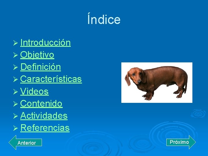 Índice Ø Introducción Ø Objetivo Ø Definición Ø Características Ø Videos Ø Contenido Ø