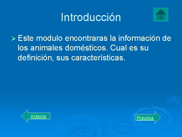 Introducción Ø Este modulo encontraras la información de los animales domésticos. Cual es su