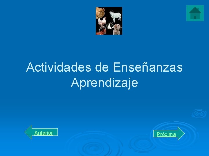 Actividades de Enseñanzas Aprendizaje Anterior Próxima 