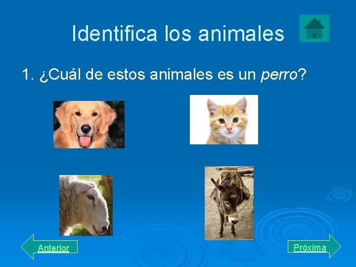 Identifica los animales 1. ¿Cuál de estos animales es un perro? Anterior Próxima 