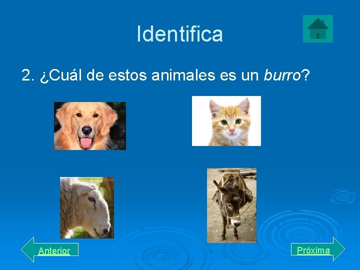 Identifica 2. ¿Cuál de estos animales es un burro? Anterior Próxima 