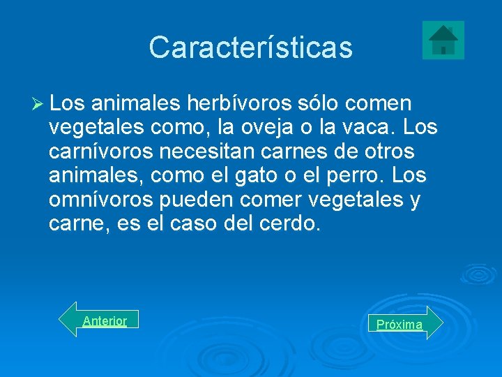 Características Ø Los animales herbívoros sólo comen vegetales como, la oveja o la vaca.