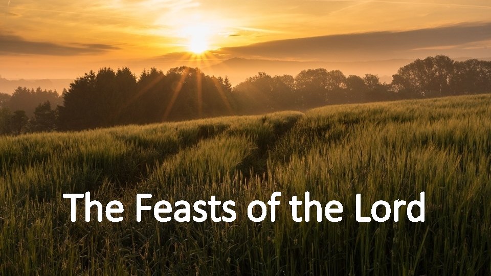 The Feasts of the Lord 