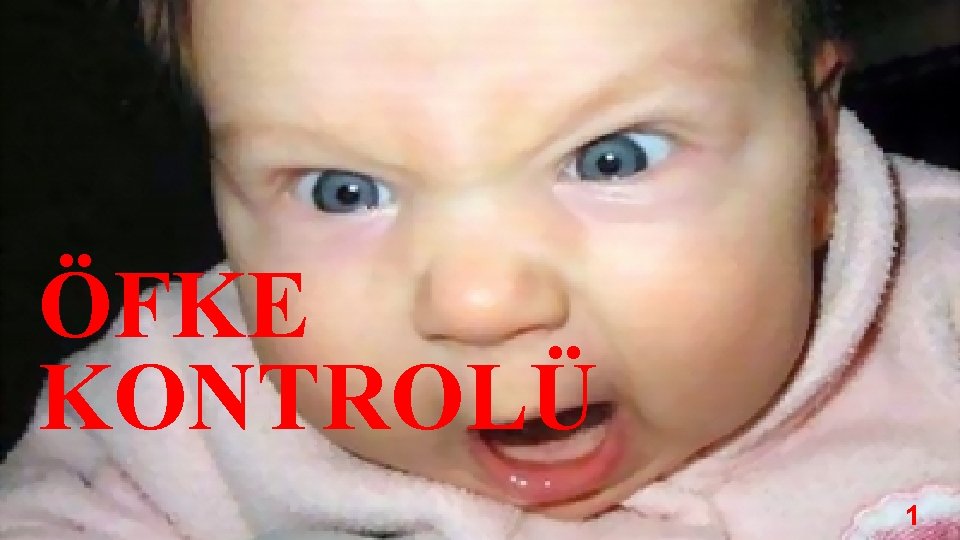 ÖFKE KONTROLÜ 1 ÖFKE KONTROLÜ 1