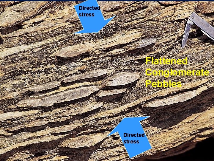 Directed stress Flattened Conglomerate Pebbles Directed stress 