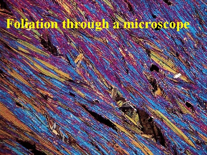 Foliation through a microscope 