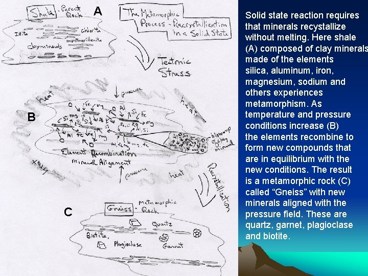 A B C Solid state reaction requires that minerals recystallize without melting. Here shale