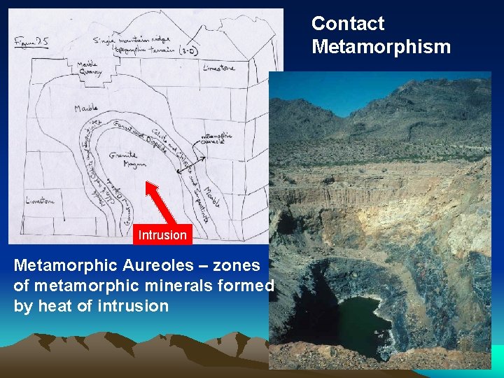 Contact Metamorphism Intrusion Metamorphic Aureoles – zones of metamorphic minerals formed by heat of