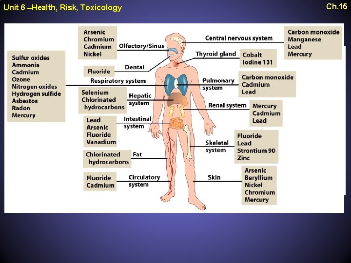 Unit 6 –Health, Risk, Toxicology Ch. 15 