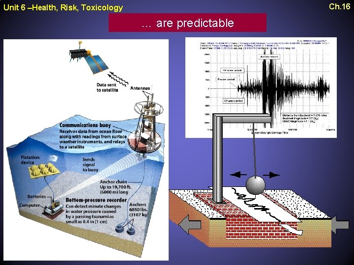 Ch. 16 Unit 6 –Health, Risk, Toxicology … are predictable 