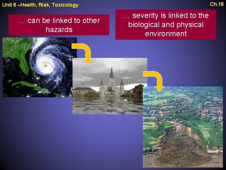 Ch. 16 Unit 6 –Health, Risk, Toxicology … can be linked to other hazards