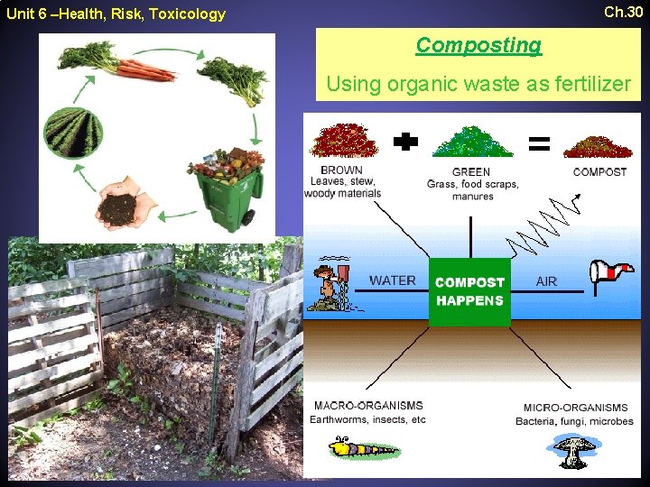 Ch. 30 Unit 6 –Health, Risk, Toxicology Composting Using organic waste as fertilizer 