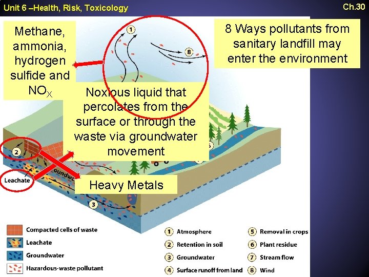 Unit 6 –Health, Risk, Toxicology Methane, ammonia, hydrogen sulfide and NOX Ch. 30 8