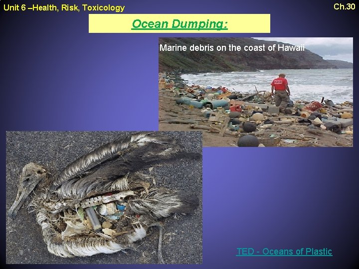 Ch. 30 Unit 6 –Health, Risk, Toxicology Ocean Dumping: Marine debris on the coast