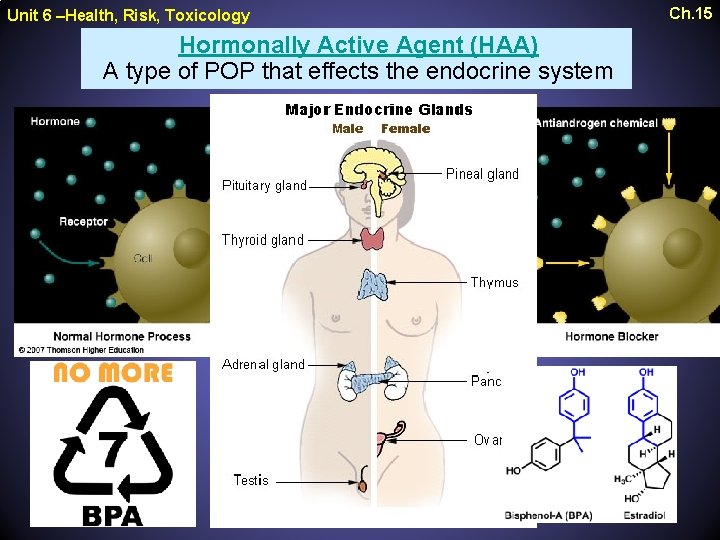 Unit 6 –Health, Risk, Toxicology Hormonally Active Agent (HAA) A type of POP that