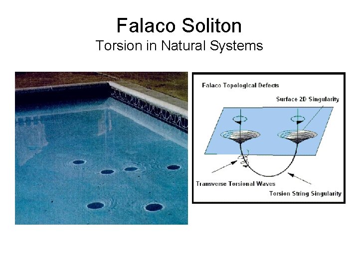 Falaco Soliton Torsion in Natural Systems 