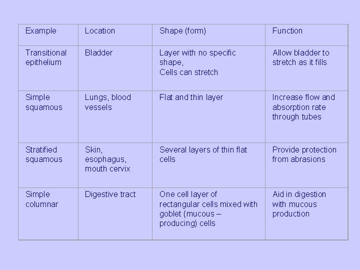 Example Location Shape (form) Function Transitional epithelium Bladder Layer with no specific shape, Cells