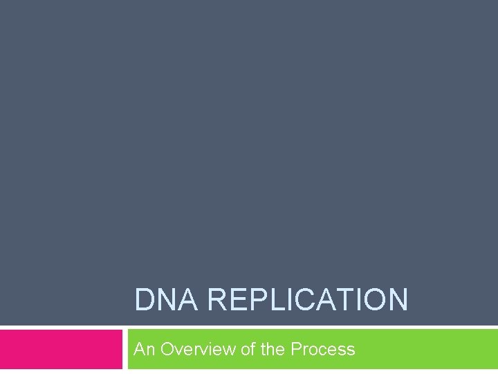 DNA REPLICATION An Overview of the Process 