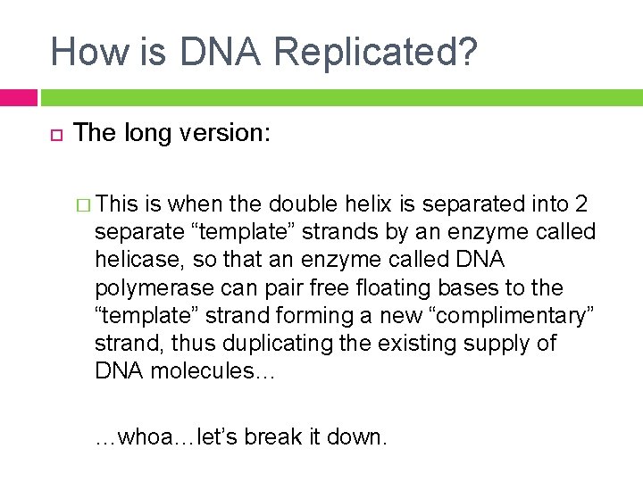 How is DNA Replicated? The long version: � This is when the double helix