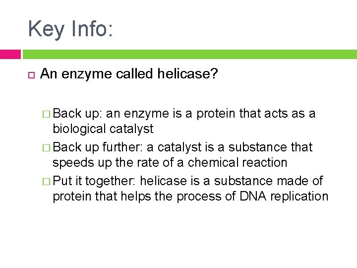 Key Info: An enzyme called helicase? � Back up: an enzyme is a protein