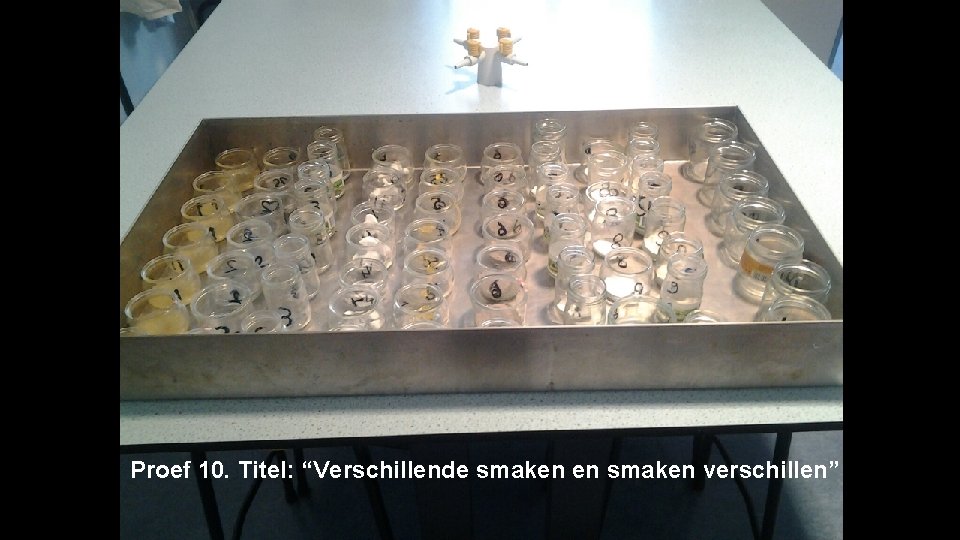 Proef 10. Titel: “Verschillende smaken en smaken verschillen” 