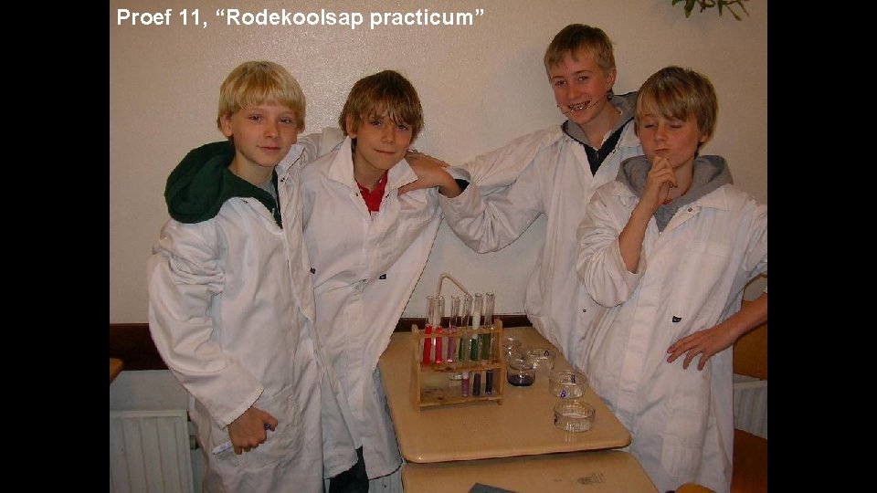 Proef 11, “Rodekoolsap practicum” 