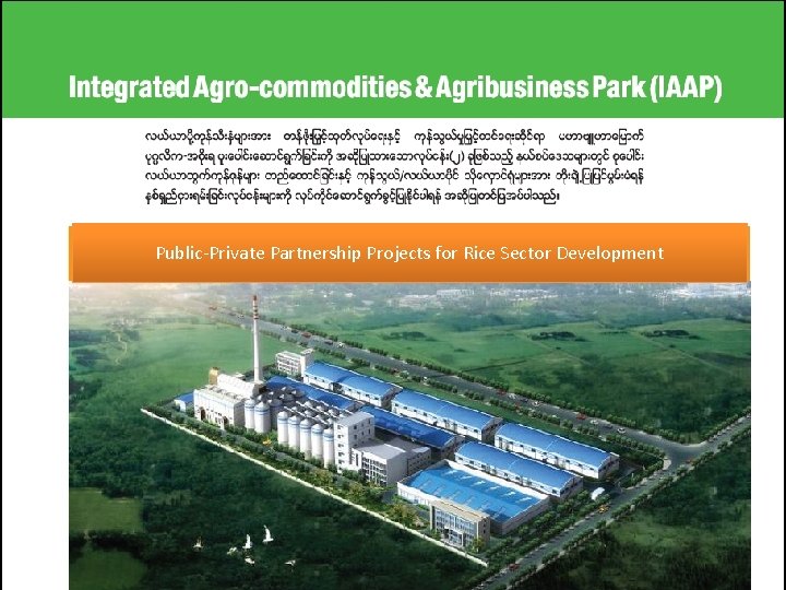 Public-Private Partnership Projects for Rice Sector Development 