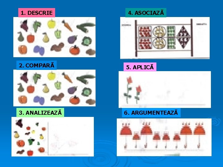 1. DESCRIE 2. COMPARĂ 3. ANALIZEAZĂ 4. ASOCIAZĂ 5. APLICĂ 6. ARGUMENTEAZĂ 