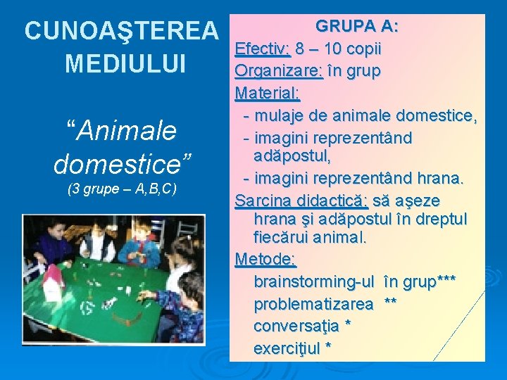 CUNOAŞTEREA MEDIULUI “Animale domestice” (3 grupe – A, B, C) GRUPA A: Efectiv: 8