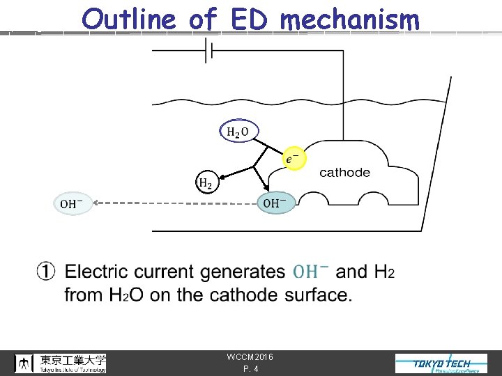 n Outline of ED mechanism WCCM 2016 P. 4 