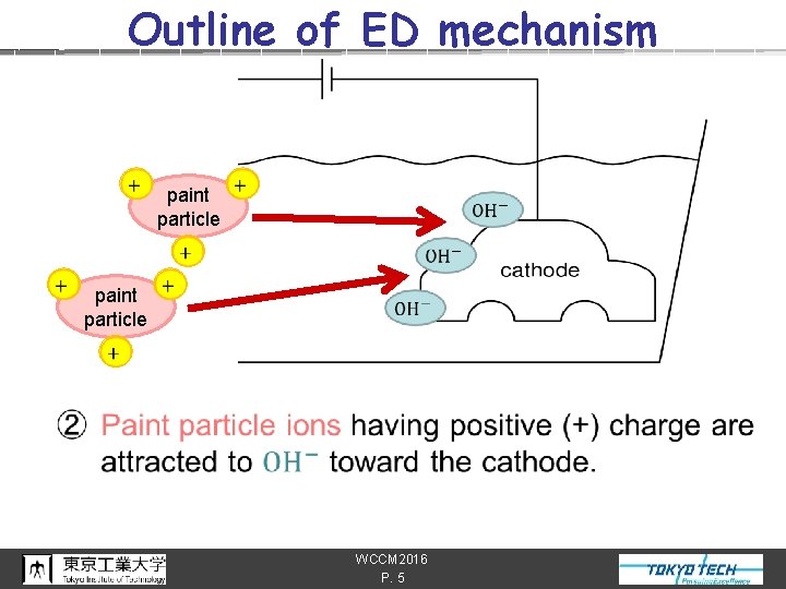 n Outline of ED mechanism paint particle WCCM 2016 P. 5 