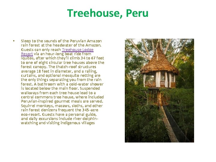 Treehouse, Peru • Sleep to the sounds of the Peruvian Amazon rain forest at