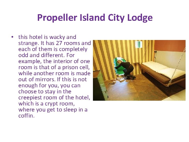 Propeller Island City Lodge • this hotel is wacky and strange. It has 27