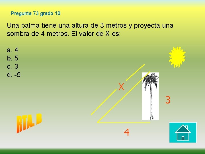 Pregunta 73 grado 10 Una palma tiene una altura de 3 metros y proyecta