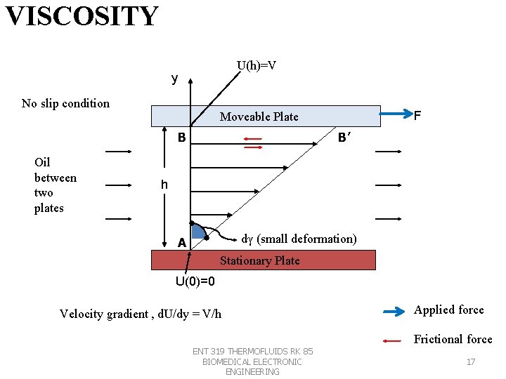 VISCOSITY U(h)=V y No slip condition B Oil between two plates F Moveable Plate