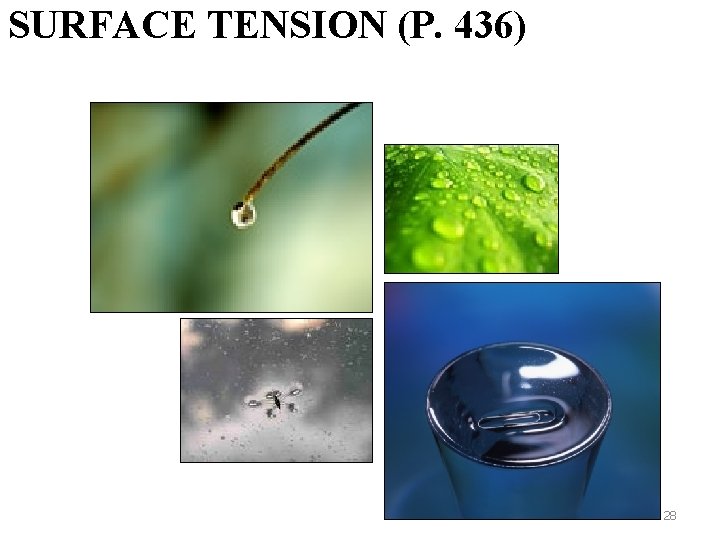 SURFACE TENSION (P. 436) 28 SURFACE TENSION (P. 436) 28