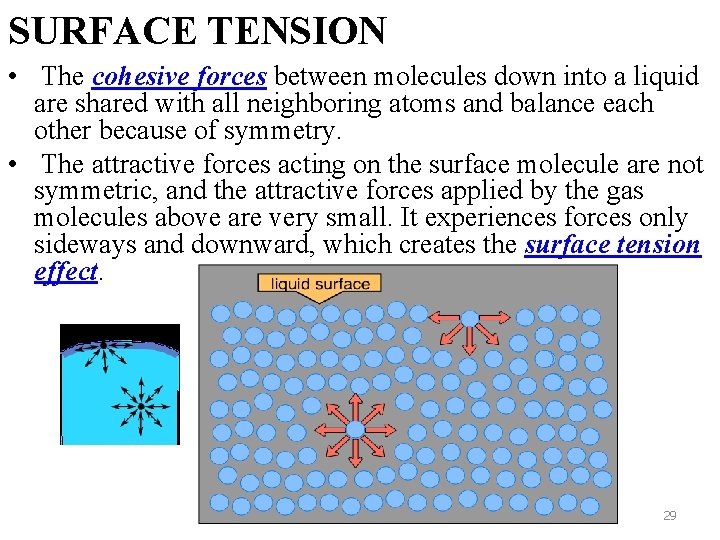 SURFACE TENSION • The cohesive forces between molecules down into a liquid are shared SURFACE TENSION • The cohesive forces between molecules down into a liquid are shared