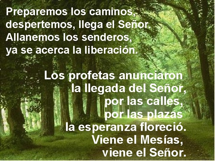 Preparemos los caminos, despertemos, llega el Señor. Allanemos los senderos, ya se acerca la