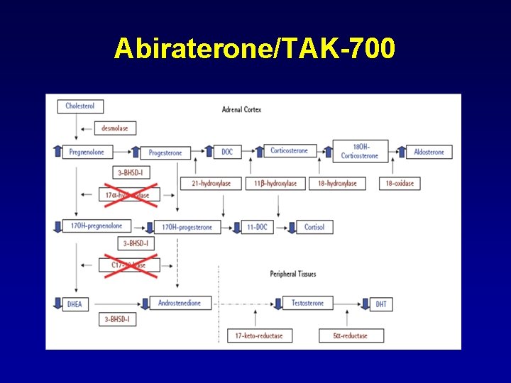 Abiraterone/TAK-700 