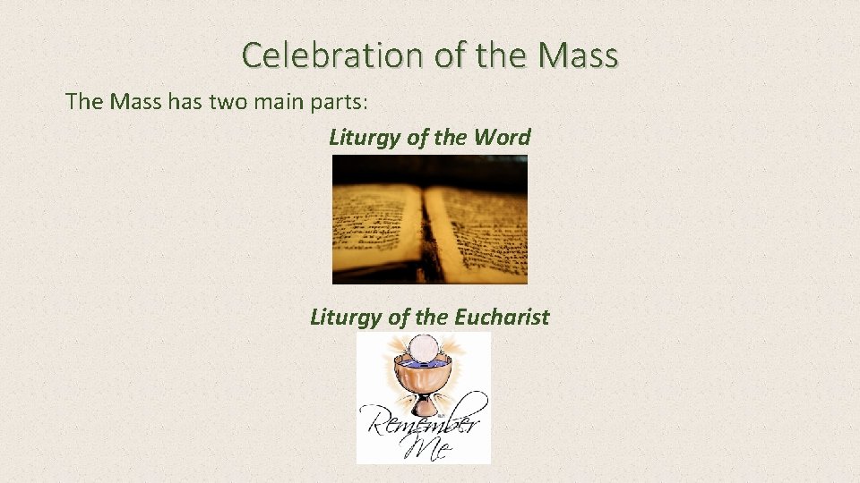 Celebration of the Mass The Mass has two main parts: Liturgy of the Word