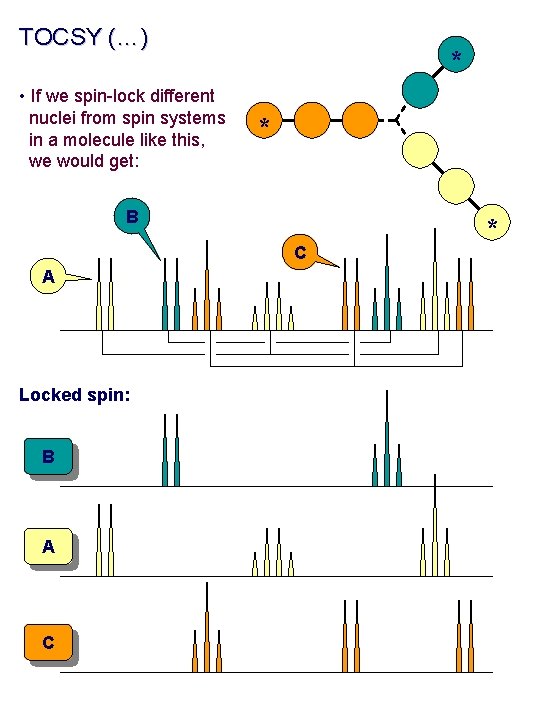 TOCSY (…) • If we spin-lock different nuclei from spin systems in a molecule TOCSY (…) • If we spin-lock different nuclei from spin systems in a molecule