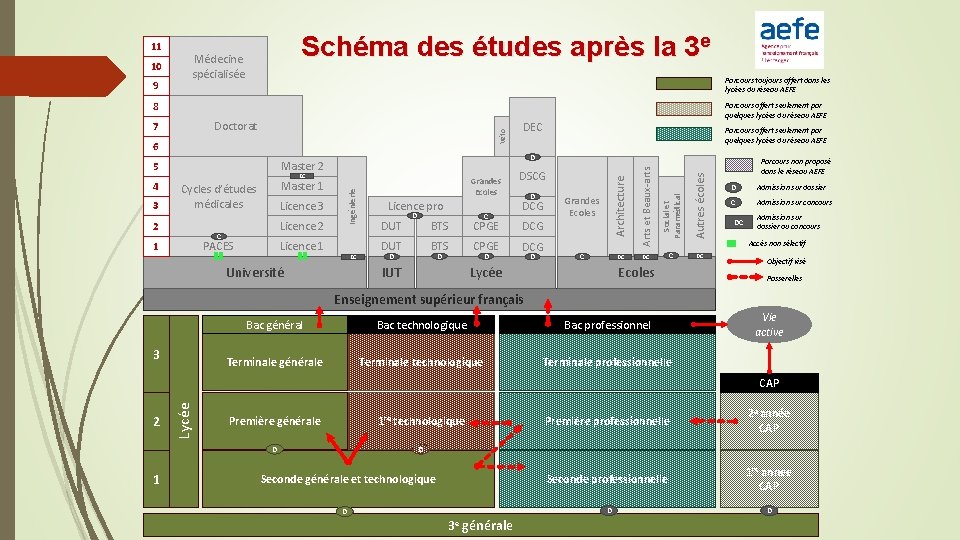 11 10 9 Schéma des études après la 3 e Médecine spécialisée Parcours toujours