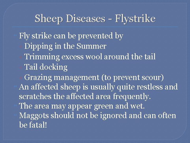 Sheep Diseases - Flystrike Fly strike can be prevented by ◦ Dipping in the