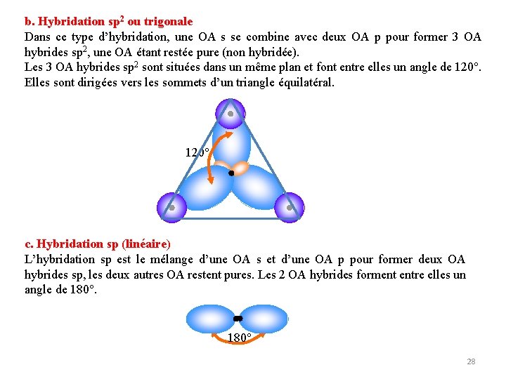 b. Hybridation sp 2 ou trigonale Dans ce type d’hybridation, une OA s se