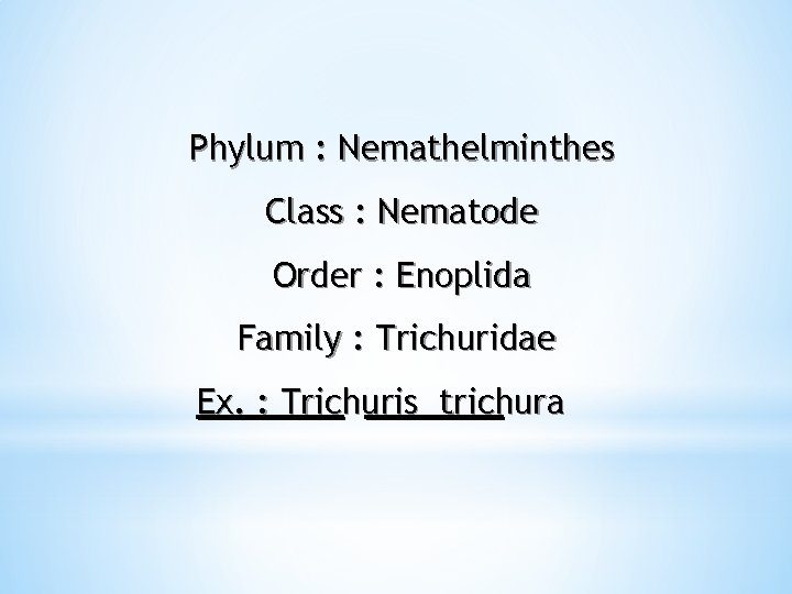 Phylum : Nemathelminthes Class : Nematode Order : Enoplida Family : Trichuridae Ex. :