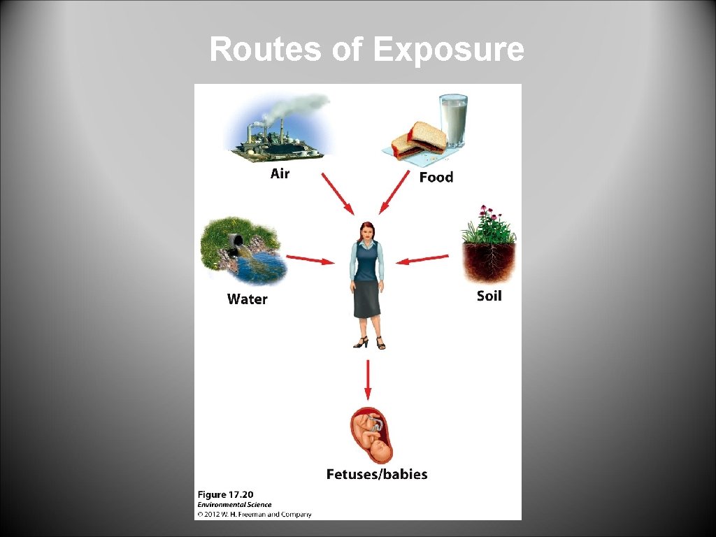 Routes of Exposure 