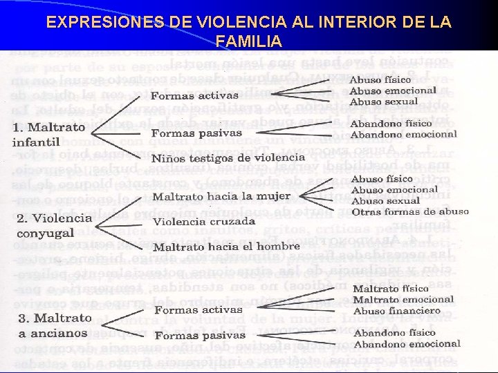 EXPRESIONES DE VIOLENCIA AL INTERIOR DE LA FAMILIA 